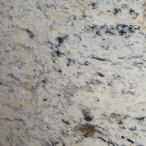 Delicatus White